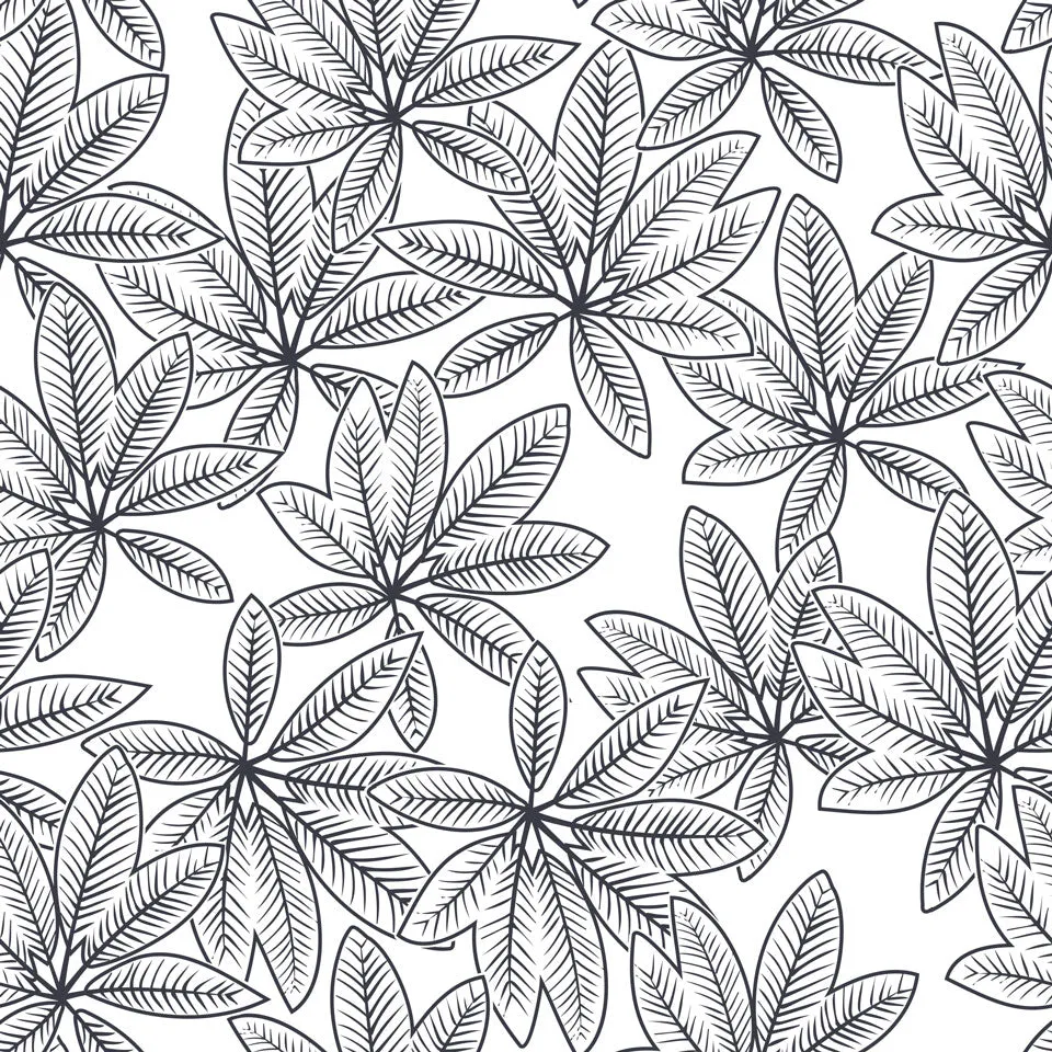 Papier peint autocollant Feuille étoilée
